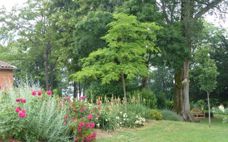 Parc