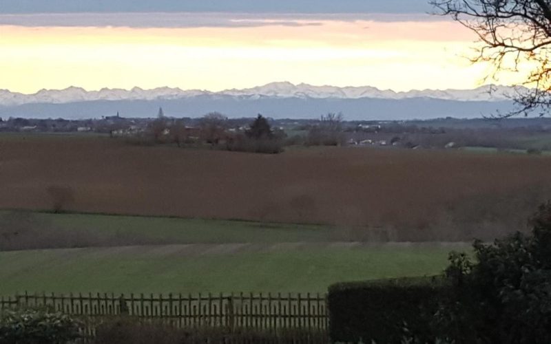 Panorama